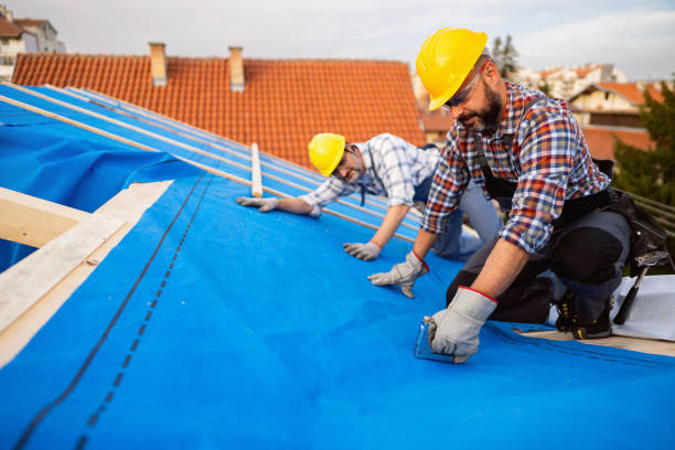 Roof Waterproofing Services in Seis Lagos, TX