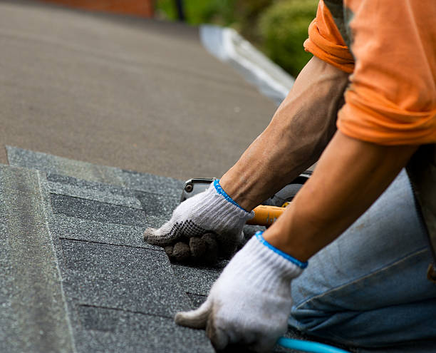 Best Roof Gutter Cleaning  in Seis Lagos, TX