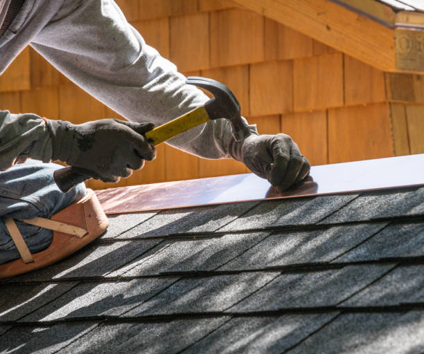 Best Metal Roofing Contractor  in Seis Lagos, TX